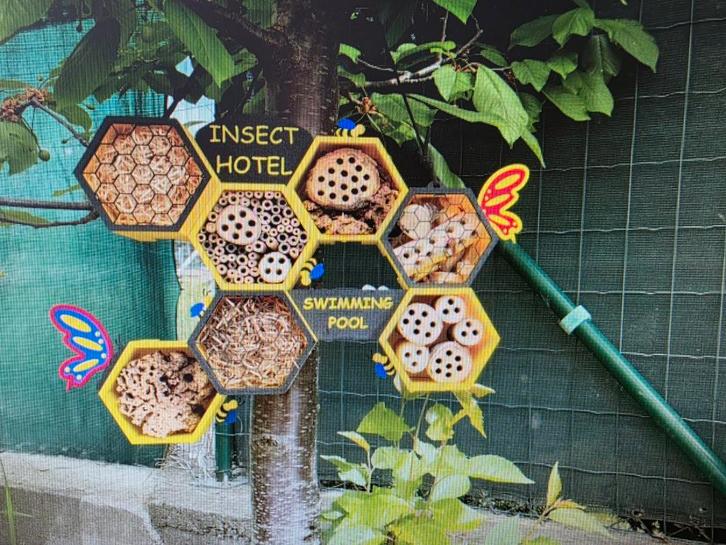 Bijenkast,insektenkast,eekhoorn huisjes tegen spotprijzen, Dieren en Toebehoren, Vogels | Hokken en Kooien, Ophalen of Verzenden