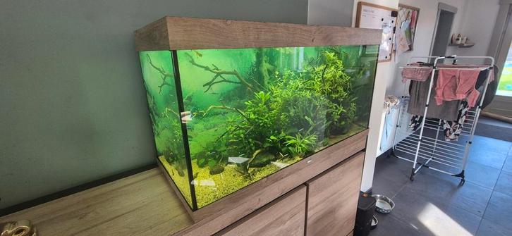 Juwel 350 led aquarium, Animaux & Accessoires, Poissons | Aquariums & Accessoires, Enlèvement