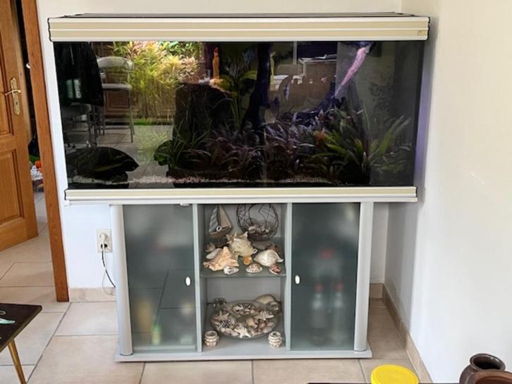 Aquarium Aquatlantis 148x58x65 avec meuble, Dieren en Toebehoren, Vissen | Aquaria en Toebehoren, Gebruikt, Gevuld zoetwateraquarium