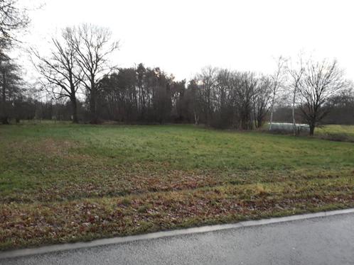 Mooi en rustig gelegen landbouwgrond/weide te huur in Mol, Immo, Gronden en Bouwgronden, 1500 m² of meer