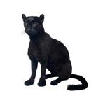 Exclusief te koop: Opgezette zwart poema, Collections, Collections Animaux, Enlèvement ou Envoi, Neuf, Animal sauvage, Animal empaillé