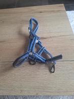 Halster pony veulen, Dieren en Toebehoren, Ophalen, Nieuw, Recreatie