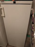 Grote diepvries, Elektronische apparatuur, Ophalen