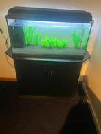 Aquarium, Dieren en Toebehoren, Vissen | Aquaria en Toebehoren, Ophalen, Gebruikt, Leeg aquarium