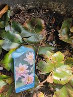 Waterlelies, Tuin en Terras, Ophalen of Verzenden