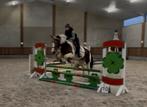 Knappe & Lieve E pony - RX goedgekeurd, Dieren en Toebehoren, Ruin, Zadelmak