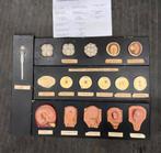 Didactische modellen "ontwikkeling menselijke embryo", Antiek en Kunst, Ophalen of Verzenden