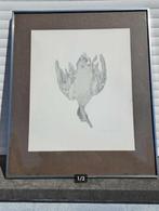 Lithographie oiseaux mort signe paul georges klein, Antiek en Kunst, Ophalen of Verzenden
