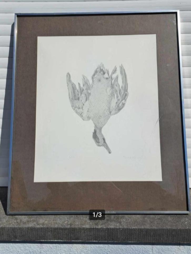 Lithographie oiseaux mort signe paul georges klein, Antiek en Kunst, Kunst | Litho's en Zeefdrukken, Ophalen of Verzenden