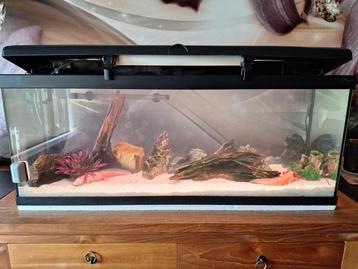 Aquarium 100x40x30 beschikbaar voor biedingen