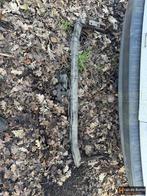 Trekhaak Mercedes Citan Renault Kangoo, Enlèvement, -, -, -