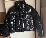 Bershka donsjack, Kleding | Dames, Zwart, Nieuw, Jasje, Maat 34 (XS) of kleiner