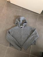 Bershka, maat M, Kleding | Dames, Truien en Vesten, Ophalen of Verzenden, Zo goed als nieuw, Maat 38/40 (M)