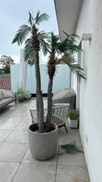 Grand pot de fleurs en plastique pour palmier, Jardin & Terrasse, Synthétique, Jardin, Rond, Enlèvement