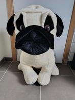 knuffel, Enlèvement, Utilisé, Chien