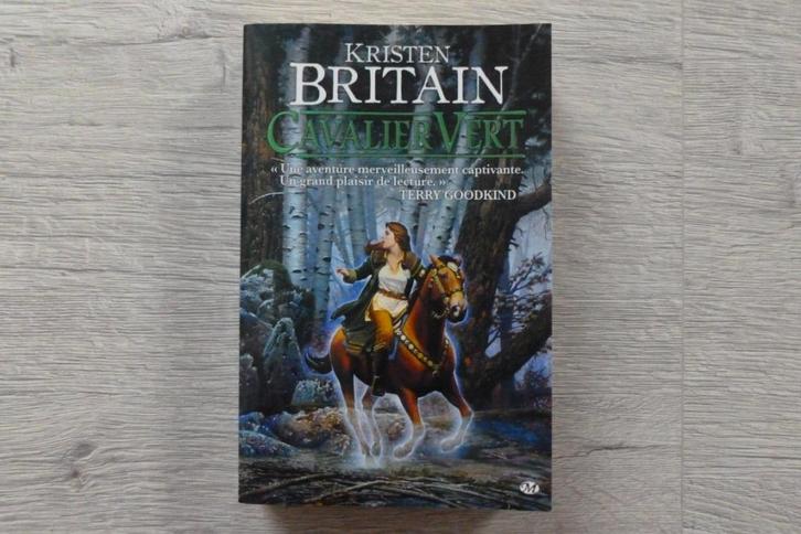 Cavalier Vert T1, Boeken, Fantasy, Gelezen, Ophalen of Verzenden