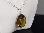 Amber Hanger en zilver ketting, Nieuw, Ophalen of Verzenden