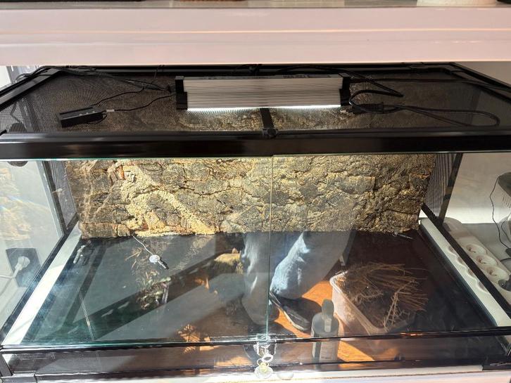 Terrarium reptizoo 90x45x45cm, Animaux & Accessoires, Reptiles & Amphibiens | Accessoires, Comme neuf, Terrarium ou Paludarium