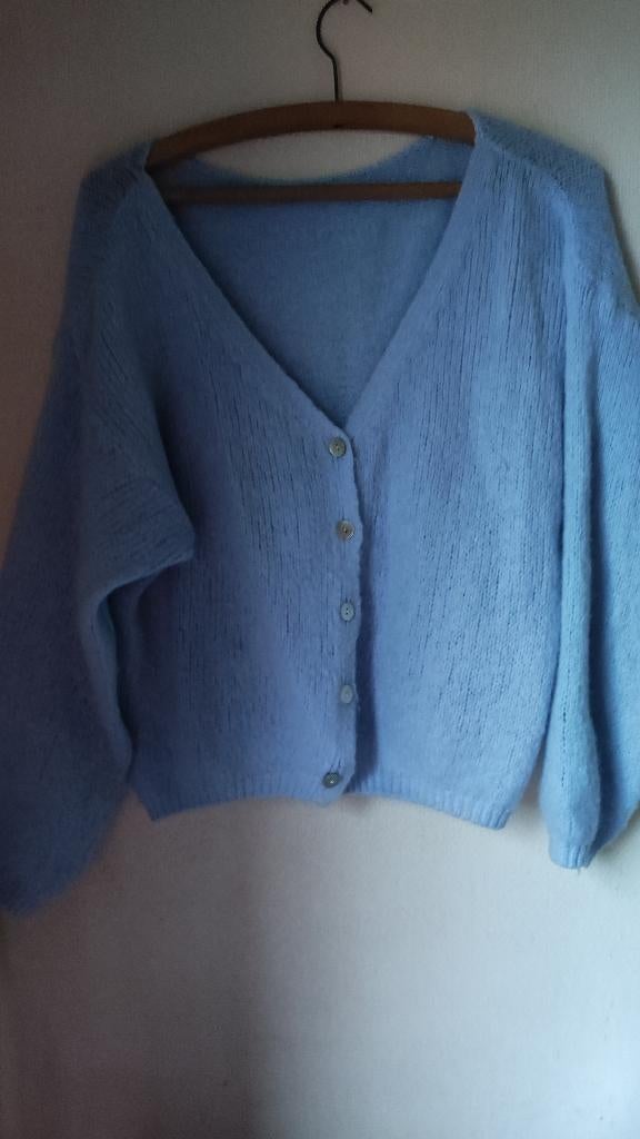 trui, Ophalen, Zo goed als nieuw, Maat 38/40 (M), Blauw