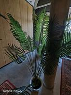 Areca Palm, kunstplant, Ophalen, Zo goed als nieuw