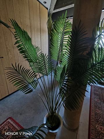 Areca Palm, kunstplant beschikbaar voor biedingen