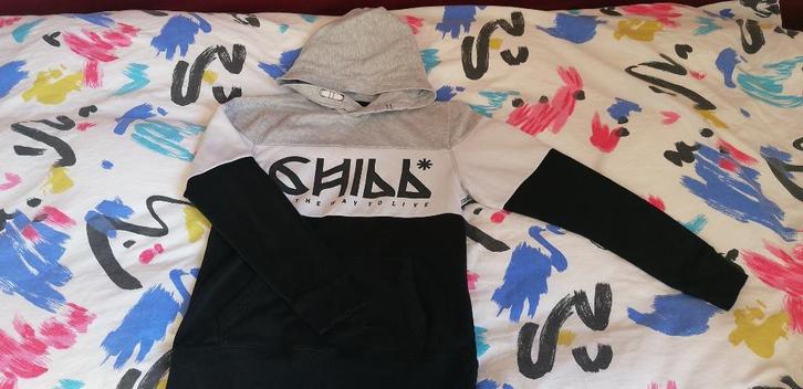 Pull gris avec capouche noir LOGG 14 ans, 164 cm, Enfants & Bébés, Vêtements enfant | Taille 164, Utilisé, Garçon, Pull ou Veste