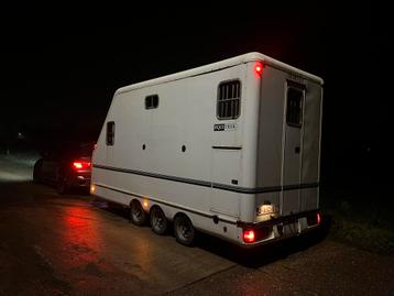 Paardentrailer beschikbaar voor biedingen