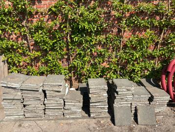 Gratis +- 160 Dallen 30x30, Tuin en Terras, Tegels en Klinkers, Ophalen, Gebruikt