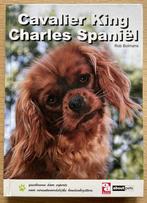 Cavalier King Charles Spaniël, Ophalen of Verzenden