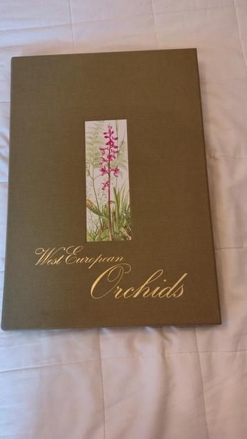 Orchidee prenten van Elisa Klopfenstein beschikbaar voor biedingen