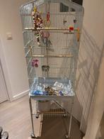 Mooi nieuw vogelkooi, Dieren en Toebehoren, Vogels | Hokken en Kooien, Ophalen, Nieuw, Vogelkooi