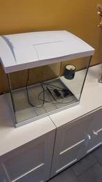 Aquarium 80L avec accessoires, Animaux & Accessoires, Comme neuf, Enlèvement