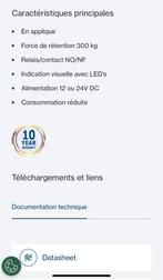 Électro-aimants 300kg 12/24v, Nieuw