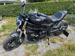 À vendre : Benelli 502C – 2024/Comme neuve/1000 km seulement, Motoren, Motoren | Benelli, 2 cilinders, Particulier, Overig, 12 t/m 35 kW