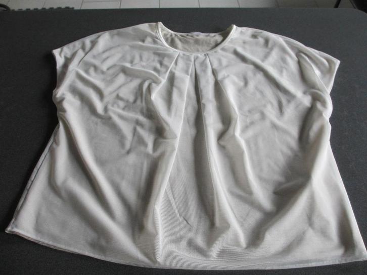 beige dames blouse, Kleding | Dames, Blouses en Tunieken, Zo goed als nieuw, Maat 46/48 (XL) of groter, Beige, Ophalen