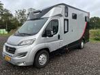 2019 Fiat Carroceria Ameline Ducato 35H 2.3 MultiJet paarden, Auto's, Bestelwagens en Lichte vracht, Gebruikt, Euro 6, Overige brandstoffen