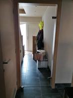glazen deur, Doe-het-zelf en Bouw, Ophalen, Gebruikt, Glas, Binnendeur
