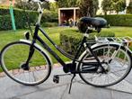 Giant Freerider, Ophalen, Versnellingen, Giant, 53 tot 56 cm