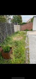 Parkeerplaats Blankenberge te huur