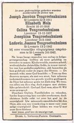 5  Oorlogsslachtoffers Tengrootenhuizen. Vliegtuigcrash 1942, Verzamelen, Bidprentjes en Rouwkaarten, Bidprentje, Ophalen of Verzenden