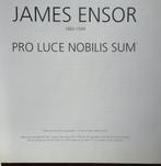 James Ensor, 2009 Pro Luce Nobilis Sum, Dexia, Boeken, Kunst en Cultuur | Beeldend, Ophalen of Verzenden, Gelezen, Schilder- en Tekenkunst