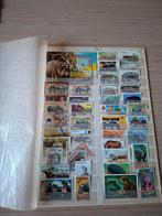 Postzegels nijlpaarden, Enlèvement