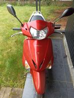 Honda, Motos, 1 cylindre, Scooter, Particulier, 125 cm³