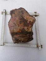 Bois fossile 3120 grammes Saint Aubin et Charolais 71 65 eur, Fossile, Enlèvement ou Envoi