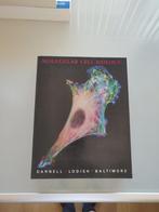 Molecular Cell Biology by Darnell, Lodish & Baltimore (1986), Boeken, Beta, Hoger Onderwijs, Zo goed als nieuw, Ophalen