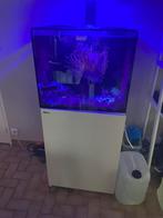 Red sea 170, Dieren en Toebehoren, Vissen | Aquaria en Toebehoren, Ophalen of Verzenden, Gebruikt, Leeg aquarium
