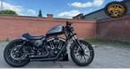 Harley-Davidson XL 883, Motoren, Motoren | Harley-Davidson, ABS, 2 cilinders, Chopper, 883 cc