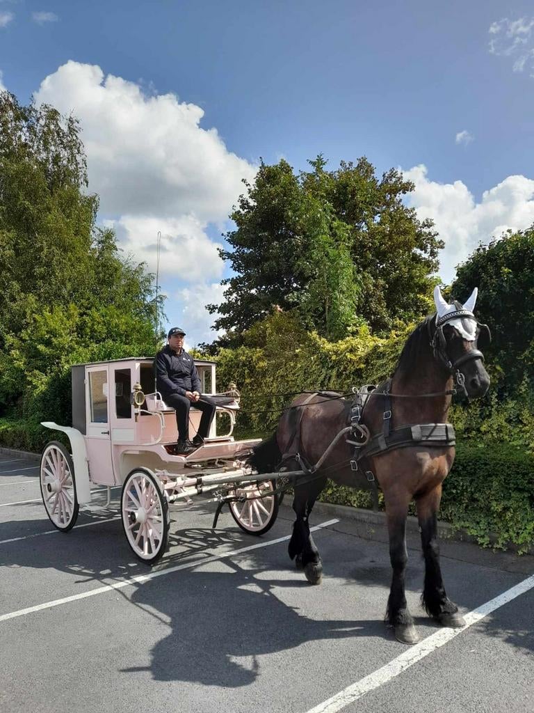 Antieke koets type coupe, Dieren en Toebehoren