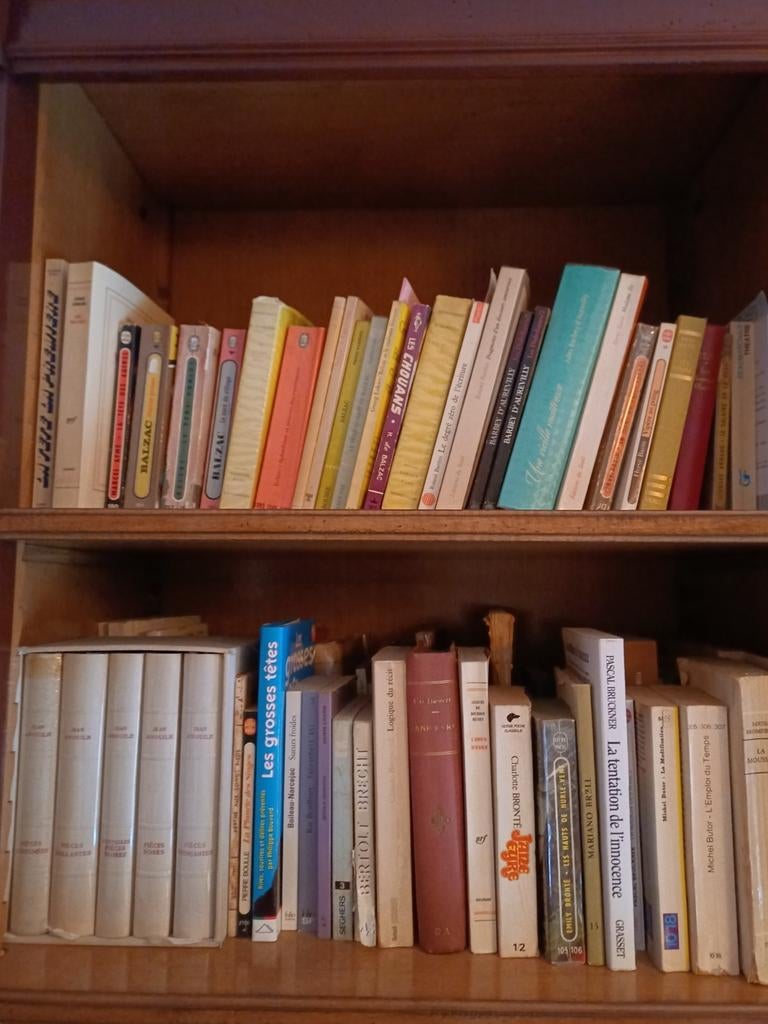 Livres à vendre, Enlèvement, Comme neuf, Art et Culture