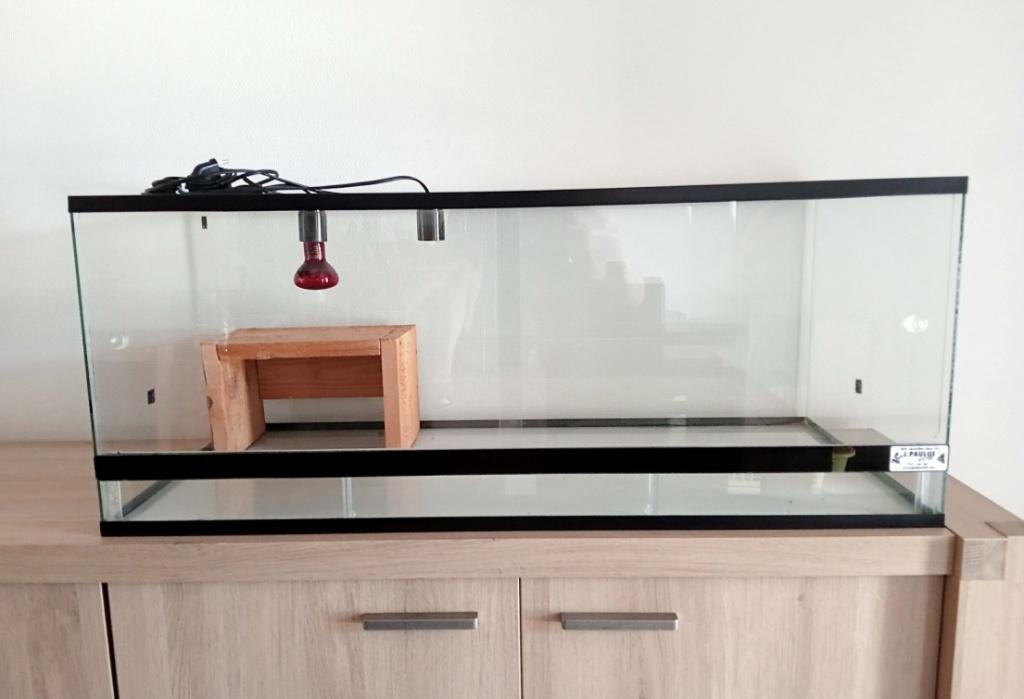 terrarium 120x50x40 cm comme neuf, Animaux & Accessoires, Enlèvement, Comme neuf, Terrarium ou Paludarium